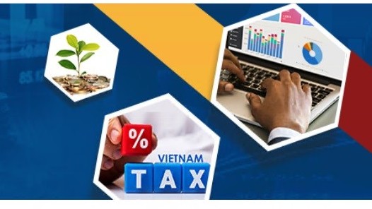 Google, Apple...kê khai, nộp thuế gần 1.800 tỷ đồng