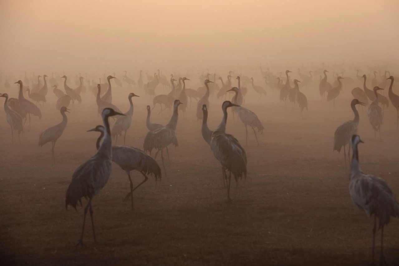 Ảnh ấn tượng tuần (23-29/1): Tên lửa của Nga thuộc loại tốt nhất thế giới, lính Ukraine bắn ‘vua chiến trường’ 2S7 Pion, NATO tập trận ở sườn Đông