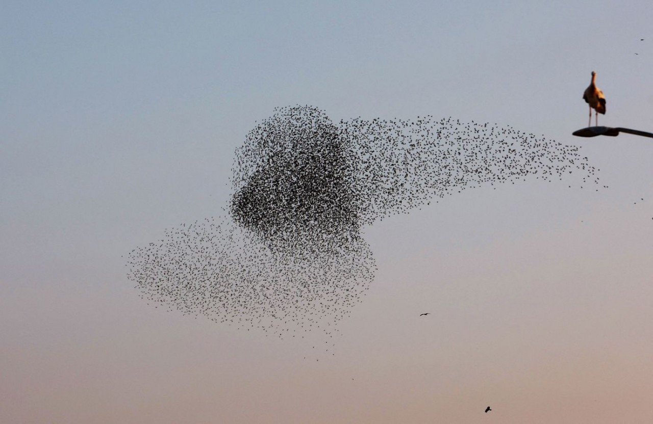 Ảnh ấn tượng tuần (23-29/1): Tên lửa của Nga thuộc loại tốt nhất thế giới, lính Ukraine bắn ‘vua chiến trường’ 2S7 Pion, NATO tập trận ở sườn Đông