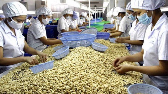 Doanh nghiệp xuất khẩu cần lưu ý gì khi xuất sang thị trường Pakistan?