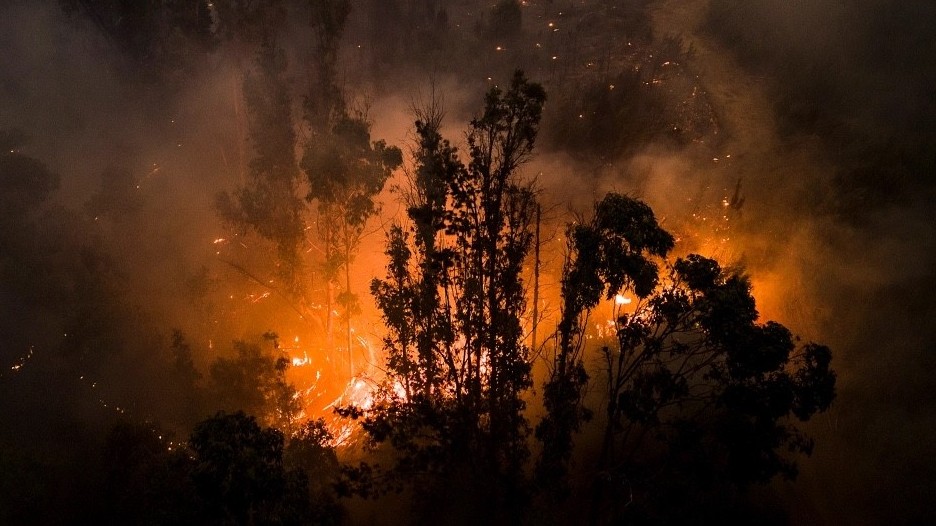 Chile nỗ lực ngăn chặn thảm hoạ cháy rừng