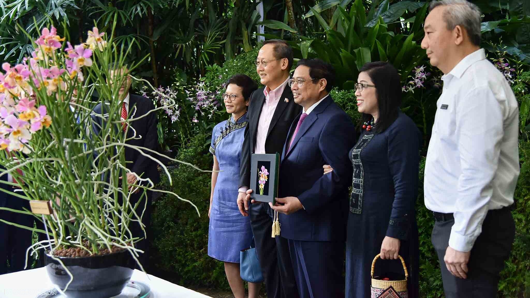 Singapore đặt tên loài hoa lan mang tên Thủ tướng Phạm Minh Chính và phu nhân