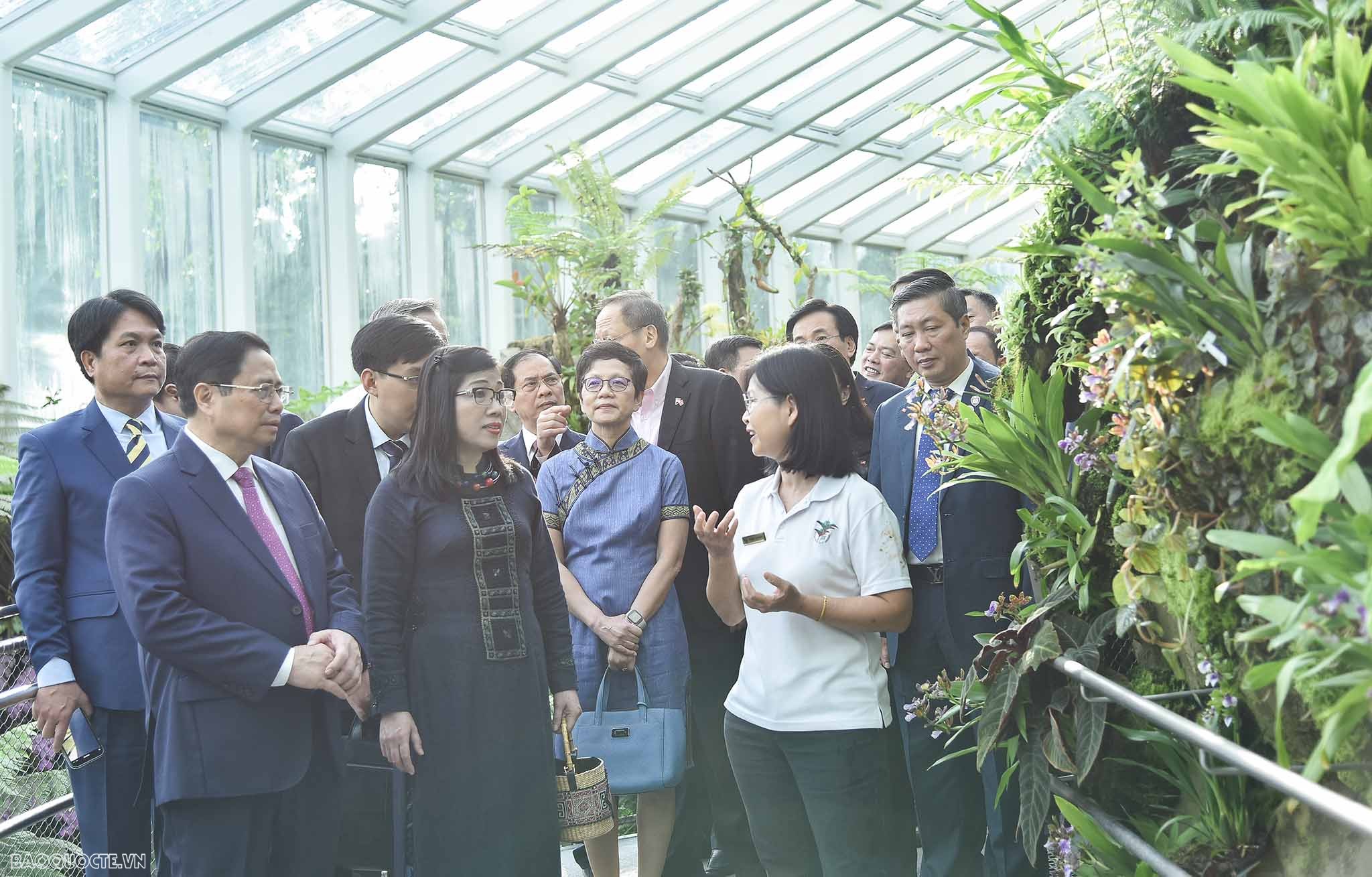 Việt Nam singapore