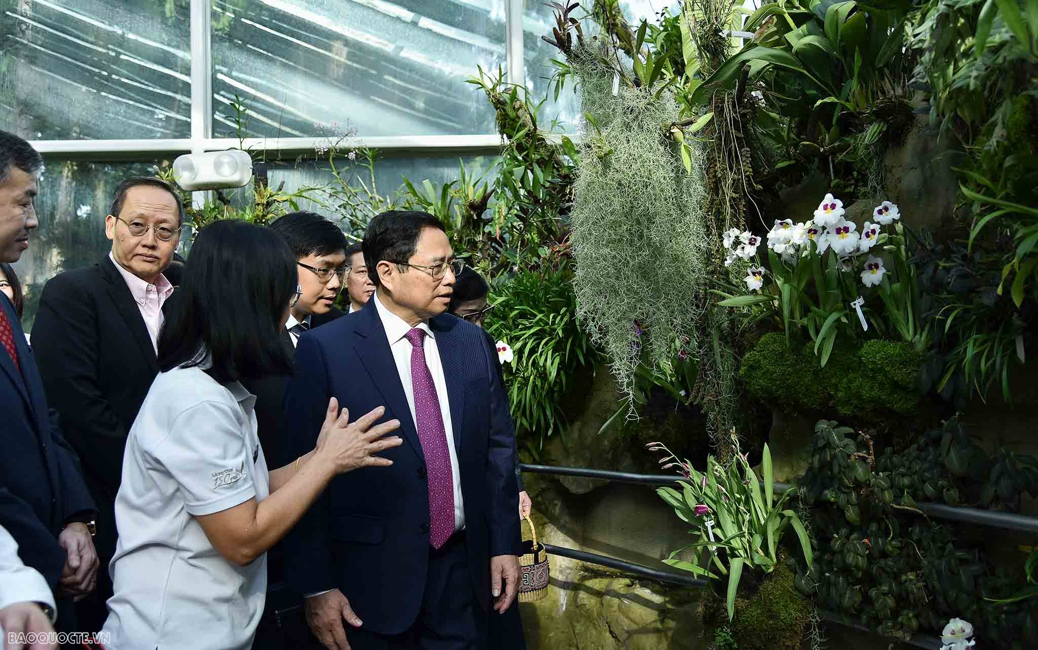 Việt Nam singapore