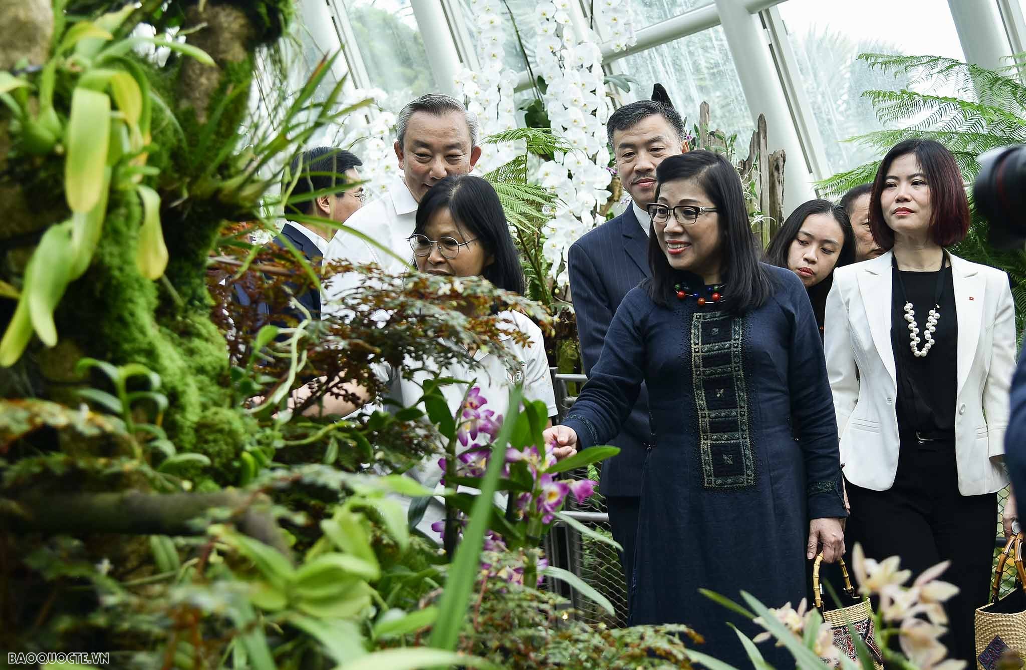 Việt Nam singapore