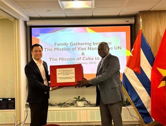 Việt Nam đánh giá cao vai trò của Cuba trong thúc đẩy chủ nghĩa đa phương