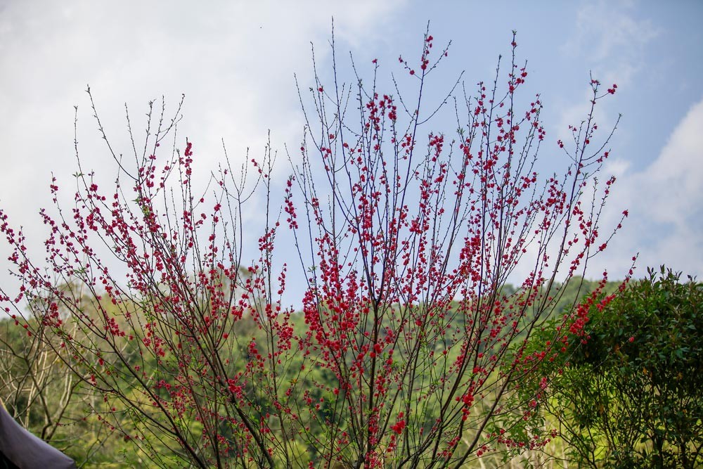 Hoạt động học tập thực tế theo tinh thần Chỉ thị số 05-CT/TW “Về đẩy mạnh học tập và làm theo tư tưởng đạo đức phong cách Hồ Chí Minh” tại Cao Bằng nh Hoạt động học tập thực tế theo tinh thần Chỉ thị số 05-CT/TW “Về đẩy mạnh học tập và làm theo tư tưởng đạo đức phong cách Hồ Chí Minh” tại Cao Bằng nh