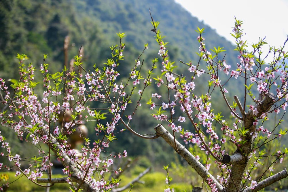 Hoạt động học tập thực tế theo tinh thần Chỉ thị số 05-CT/TW “Về đẩy mạnh học tập và làm theo tư tưởng đạo đức phong cách Hồ Chí Minh” tại Cao Bằng nh Hoạt động học tập thực tế theo tinh thần Chỉ thị số 05-CT/TW “Về đẩy mạnh học tập và làm theo tư tưởng đạo đức phong cách Hồ Chí Minh” tại Cao Bằng nh