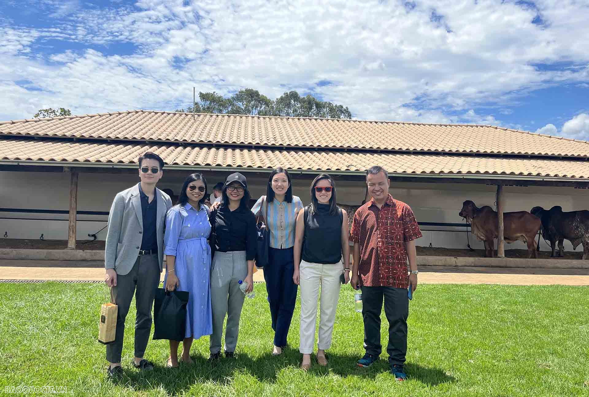 Các cán bộ ASEAN tại trang trại bò.
