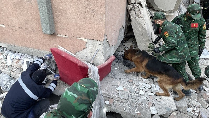 Động đất tại Thổ Nhĩ Kỳ và Syria: Vòng tay cứu trợ thắp sáng tình đoàn kết thế giới