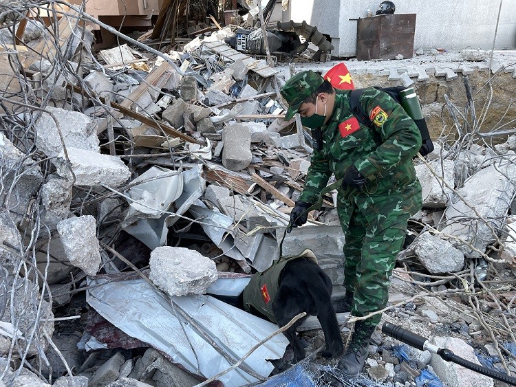 (02.14) Các chú chó nghiệp vụ cũng được huy động để tìm kiếm những nạn nhân còn sót lại trong đống đổ nát. (Nguồn: QPVN)