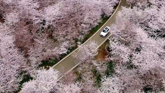 Trung Quốc công bố bằng chứng khảo cổ con người chuyển sang sống định cư