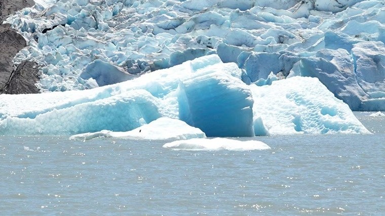 Cảnh báo lớp băng bề mặt Nam Cực đang tan chảy ở mức kỷ lục