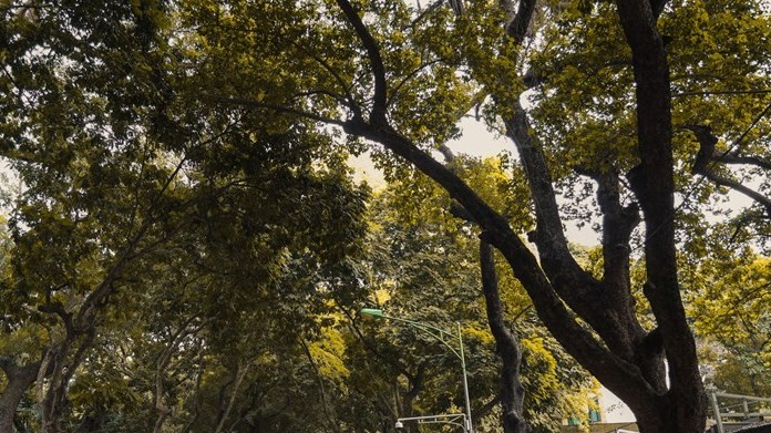 Dự báo thời tiết đêm nay và ngày mai (22-23/2): Hà Nội, Bắc Bộ đêm và sáng trời rét, sương mù nhẹ rải rác; Tây Nguyên, Nam Bộ ngày nắng