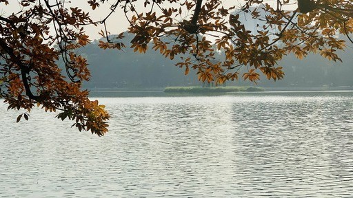 Dự báo thời tiết đêm nay và ngày mai (23/24/2): Trời chuyển gió Đông Bắc; Hà Nội, Bắc Bộ, Bắc Trung Bộ chuyển rét và mưa rào; phía Nam ngày nắng