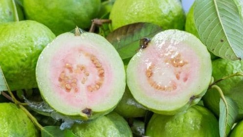 Ăn ổi hỗ trợ điều trị bệnh tiểu đường và có tác dụng giảm cân