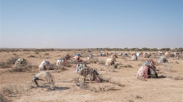 Hạn hán tồi tệ nhất trong 60 năm, hàng triệu người ở Đông Phi rơi vào cảnh chết đói