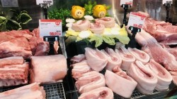 Giá heo hơi hôm nay 18/3: Đồng loạt đi lên, dao động trong khoảng 62.000 - 67.000 đồng/kg