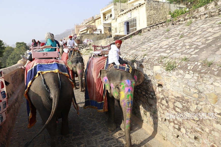 Du khách Việt và trải nghiệm cưỡi voi ngắm cảnh ở Ấn Độ Du khách Việt và trải nghiệm cưỡi voi ngắm cảnh ở Ấn Độ