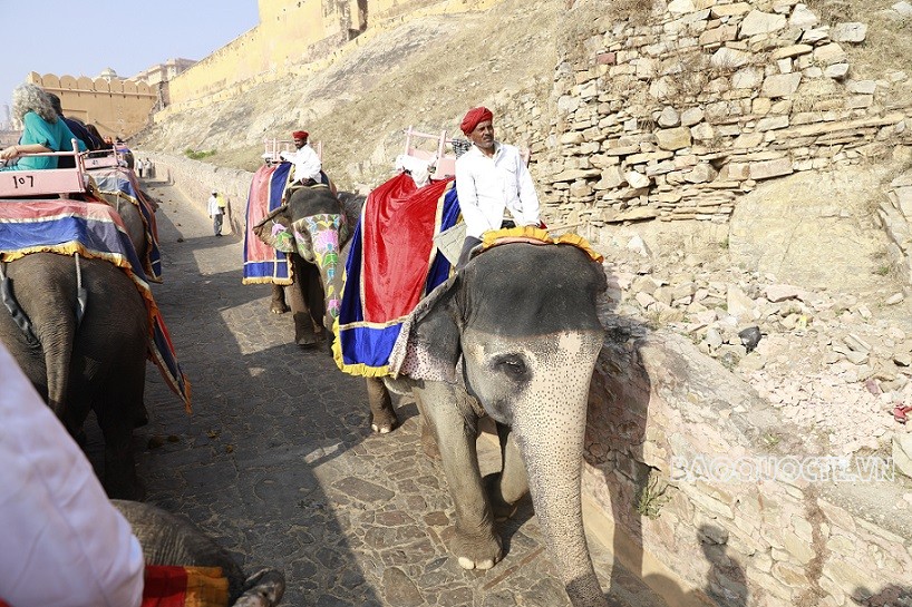 Du khách Việt và trải nghiệm cưỡi voi ngắm cảnh ở Ấn Độ Du khách Việt và trải nghiệm cưỡi voi ngắm cảnh ở Ấn Độ