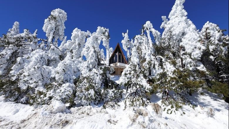 Cảnh tuyết rơi trắng xóa hiếm hoi ở California