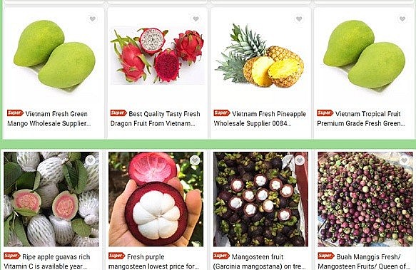 Thương mại điện tử 'chắp cánh' cho hàng Việt bay xuyên biên giới Thương mại điện tử 'chắp cánh' cho hàng Việt bay xuyên biên giới