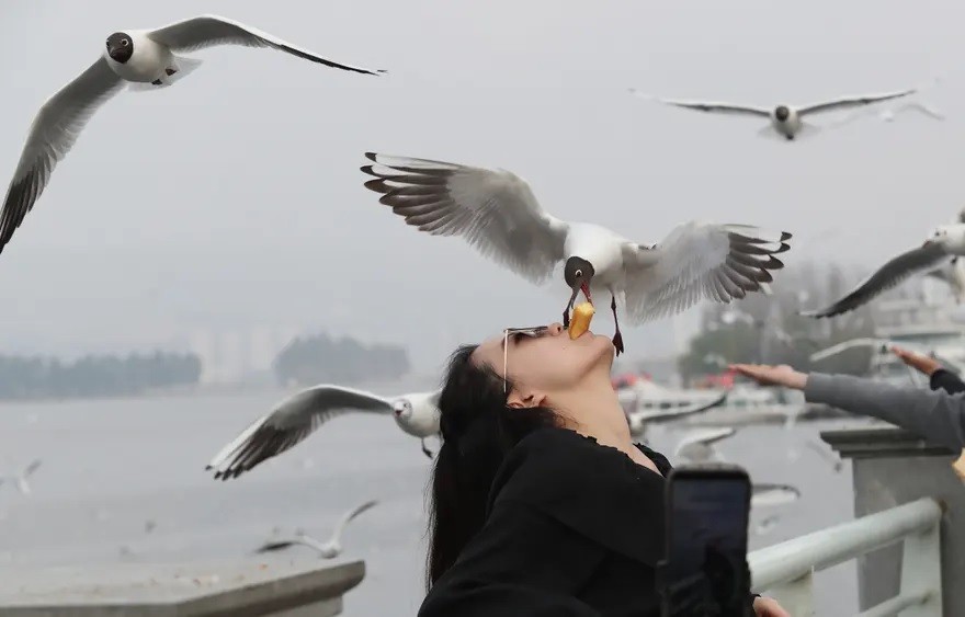 Ảnh ấn tượng tuần (6-12/3): Ukraine bắn ‘cơn mưa đá lửa’ BM-21 Grad, Bộ trưởng Quốc phòng Nga bất ngờ thị sát Mariupol, Công nương Anh tập trận