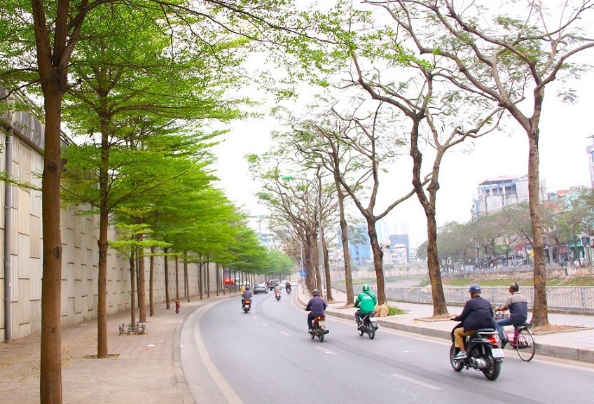 Dự báo thời tiết Hà Nội đêm và sáng mai trời rét; sáng sớm sương mù nhẹ; chiều, tối mưa nhỏ, mưa phùn. (Nguồn: SK&ĐS)