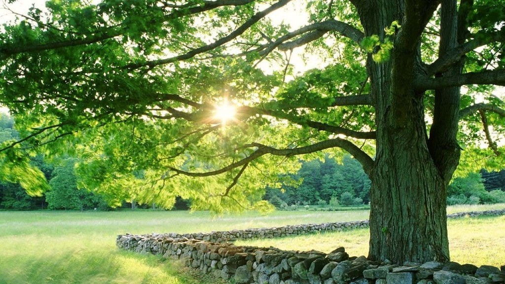 Dự báo thời tiết 10 ngày tới (18-28/3): Bắc-Trung Trung Bộ, Đông Nam Bộ có nắng nóng; Bắc Bộ trời nắng, có nơi nắng nóng