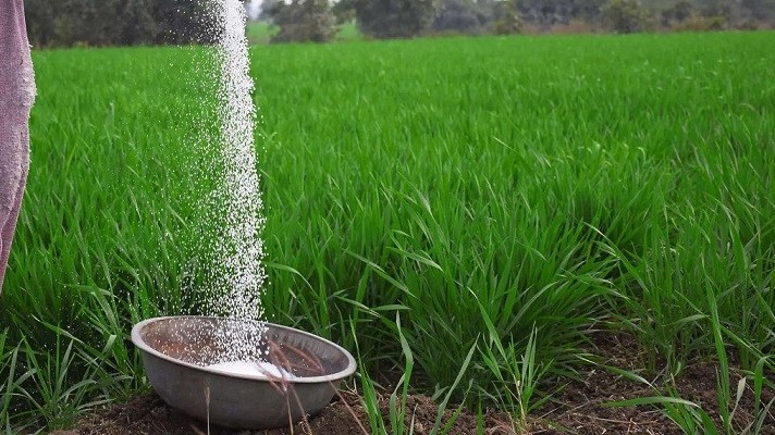 Ấn Độ nhập khẩu phân bón Nga tăng cao nhất trong 3 năm