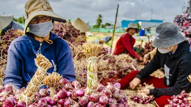 Xuất khẩu ngày 17-19/3: Trung Quốc nhập số lượng 'khủng' hành, hẹ, tỏi Việt Nam; xuất khẩu sang một số thị trường ASEAN bật tăng