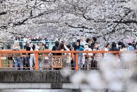 Nhật Bản: Vùng đất mặt trời mọc