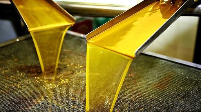 Dầu olive: ‘Vàng lỏng’ thời cổ đại đến thức quý thời hiện đại