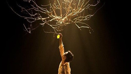 Biên đạo múa gốc Việt say mê với chất liệu dân gian