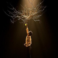 Biên đạo múa gốc Việt say mê với chất liệu dân gian