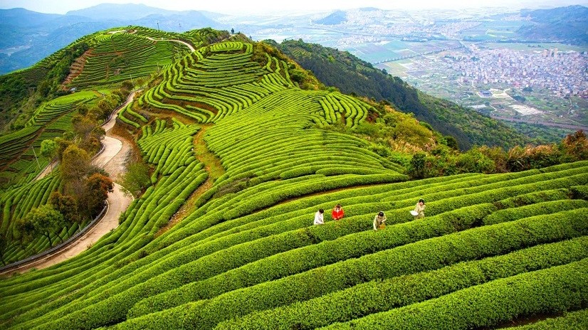 ADB: Việc Trung Quốc mở cửa trở lại đã nâng cao triển vọng kinh tế châu Á