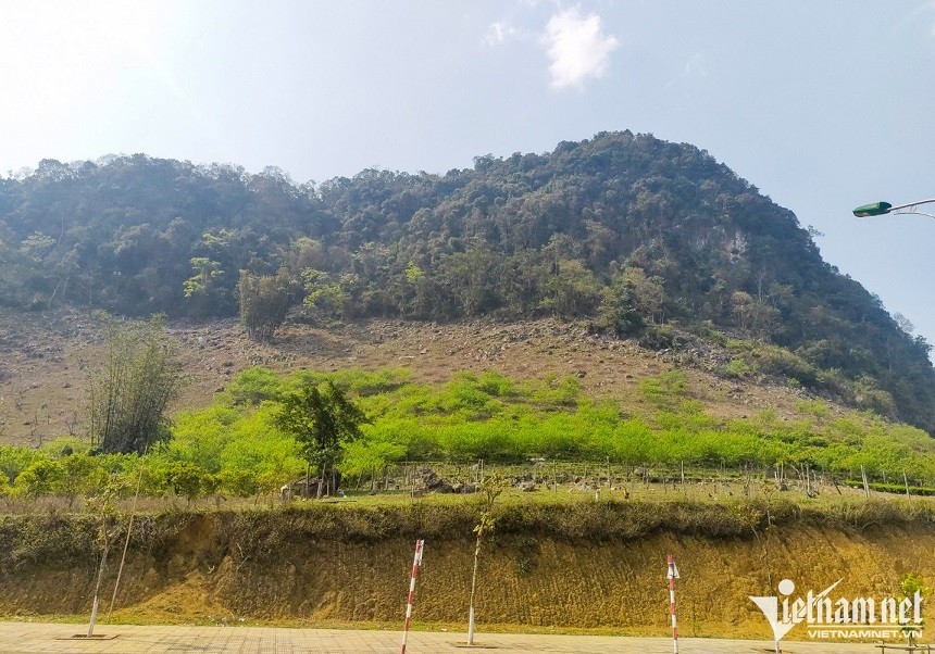 bất động sản mới nhất. đất đồi Sơn La. (Nguồn: Vietnamnet)