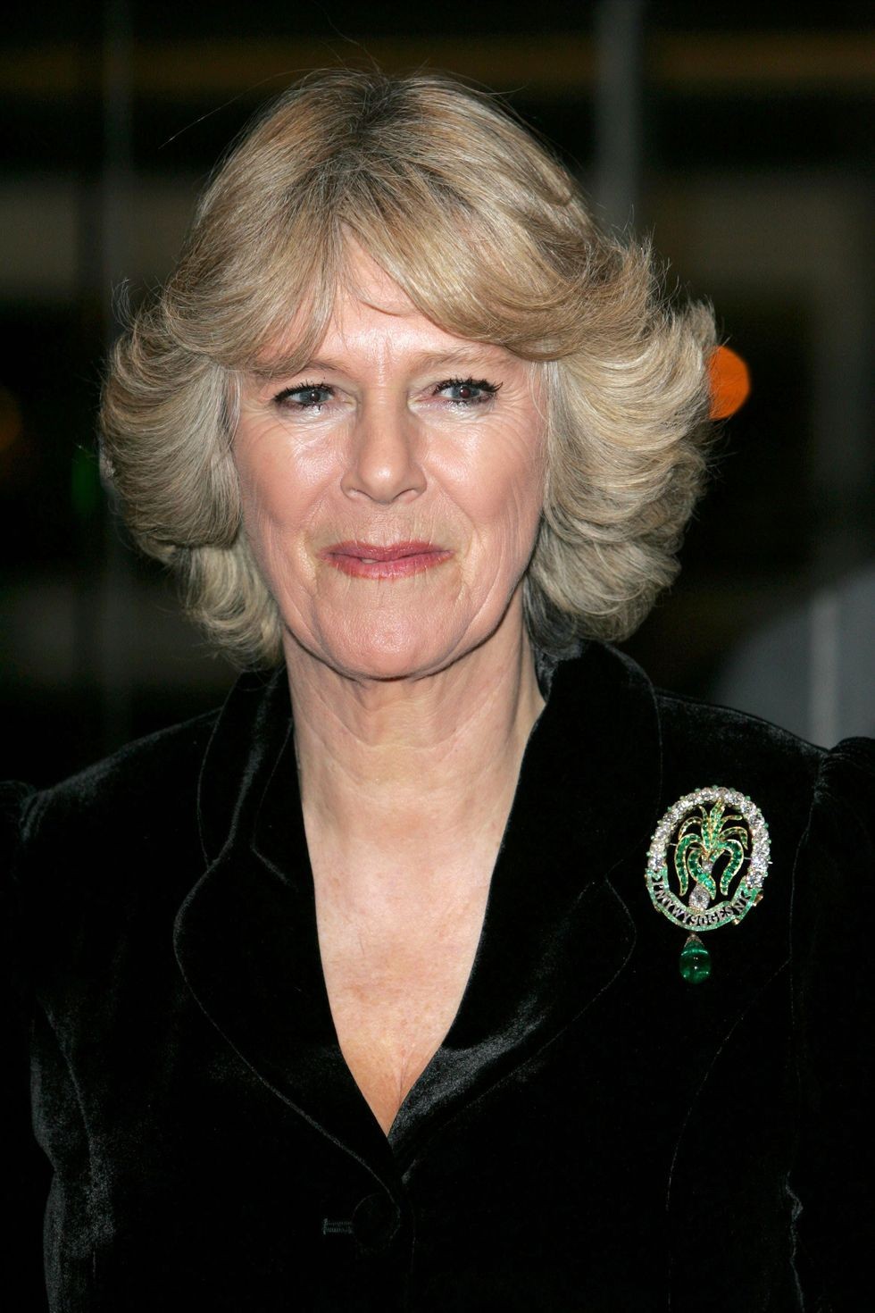 Hoàng gia Anh: Ngắm bộ sưu tập trâm cài áo xa xỉ của Hoàng hậu Camilla