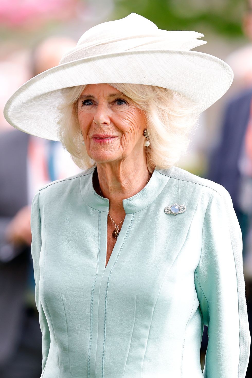 Hoàng gia Anh: Ngắm bộ sưu tập trâm cài áo xa xỉ của Hoàng hậu Camilla