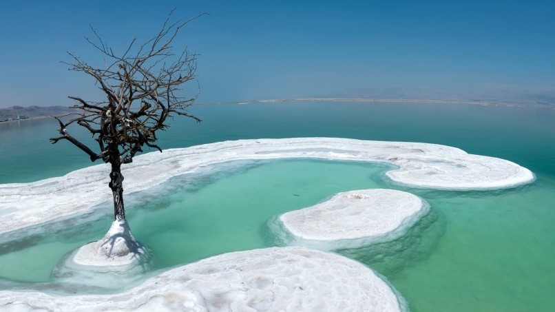 'Cây cô đơn' duy trì sự sống, đứng trơ trọi giữa vùng nước biển mặn chát khiến nhiều người hiếu kỳ