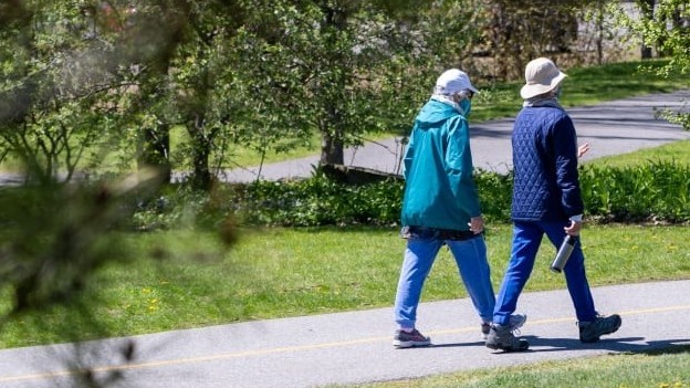 Nghiên cứu: Đi bộ 8.000 bước mỗi ngày có sức khỏe tim mạch tốt và giảm nguy cơ tử vong