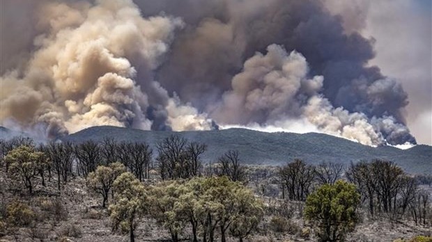 Lượng khí thải CO2 tăng mạnh do cháy rừng ở Bắc bán cầu