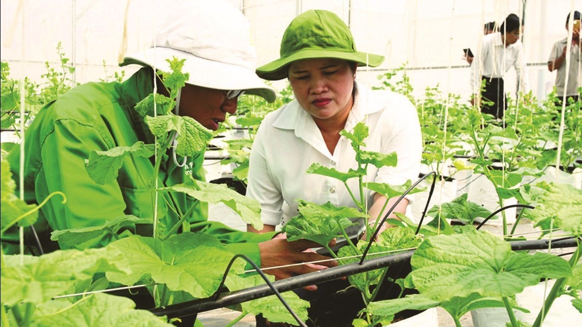 Bình Phước quyết tâm phát triển kinh tế nông nghiệp  hiệu quả cao, sinh thái và bền vững