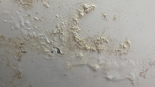 Những bệnh thường gặp khi thời tiết nồm ẩm và cách phòng chống