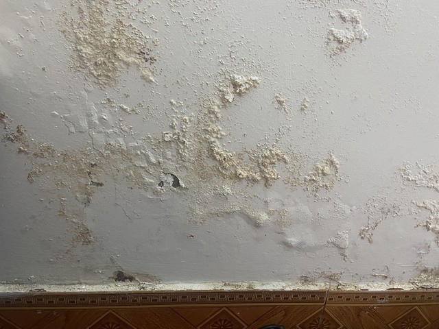 Những bệnh thường gặp khi thời tiết nồm ẩm