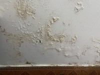 Những bệnh thường gặp khi thời tiết nồm ẩm và cách phòng chống