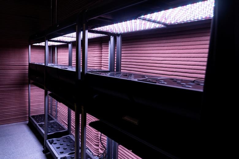 NASA công bố 'môi trường sống trên sao Hỏa' NASA công bố 'môi trường sống trên sao Hỏa'