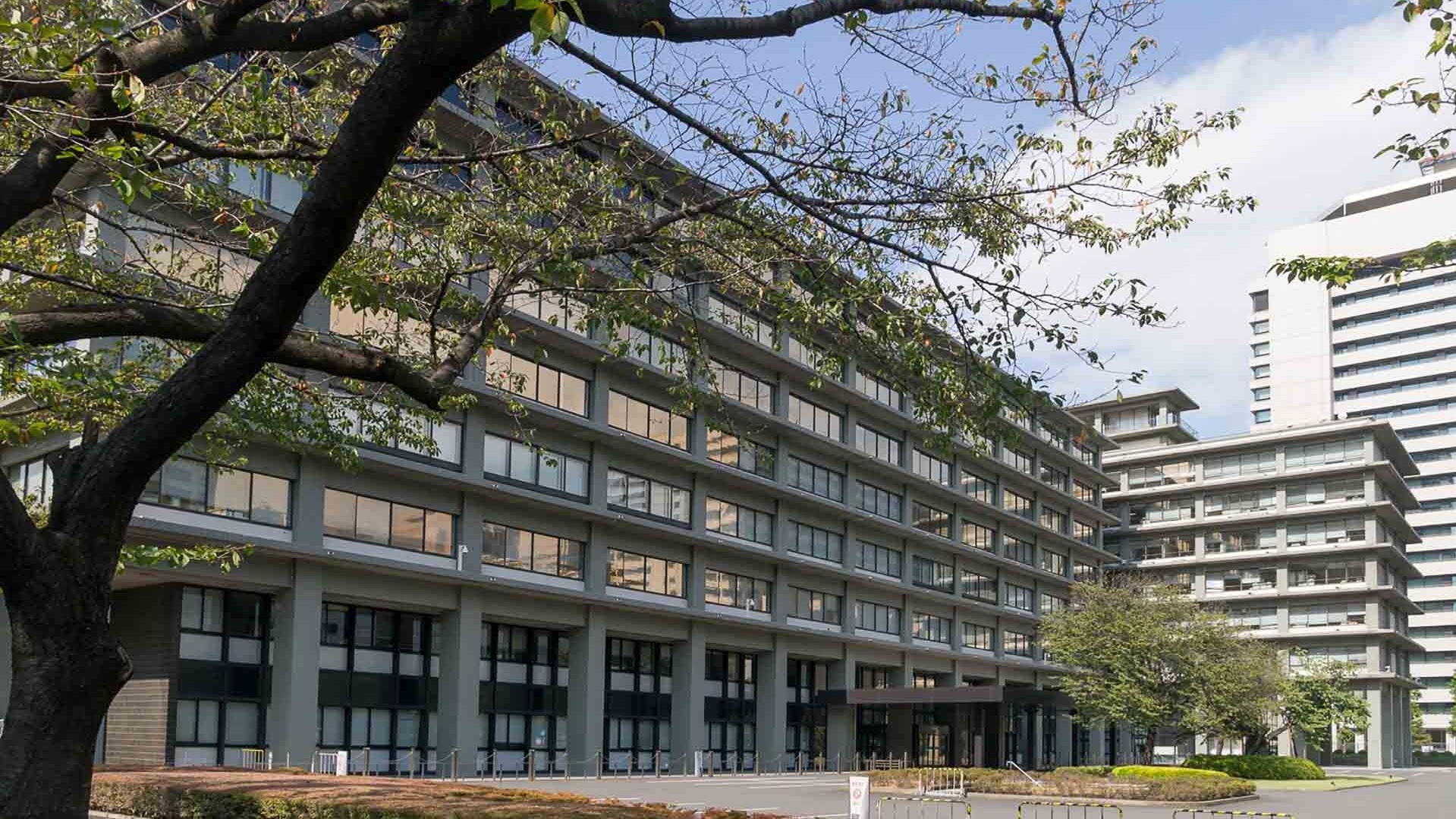 Những nét chính trong Sách Xanh ngoại giao Nhật Bản