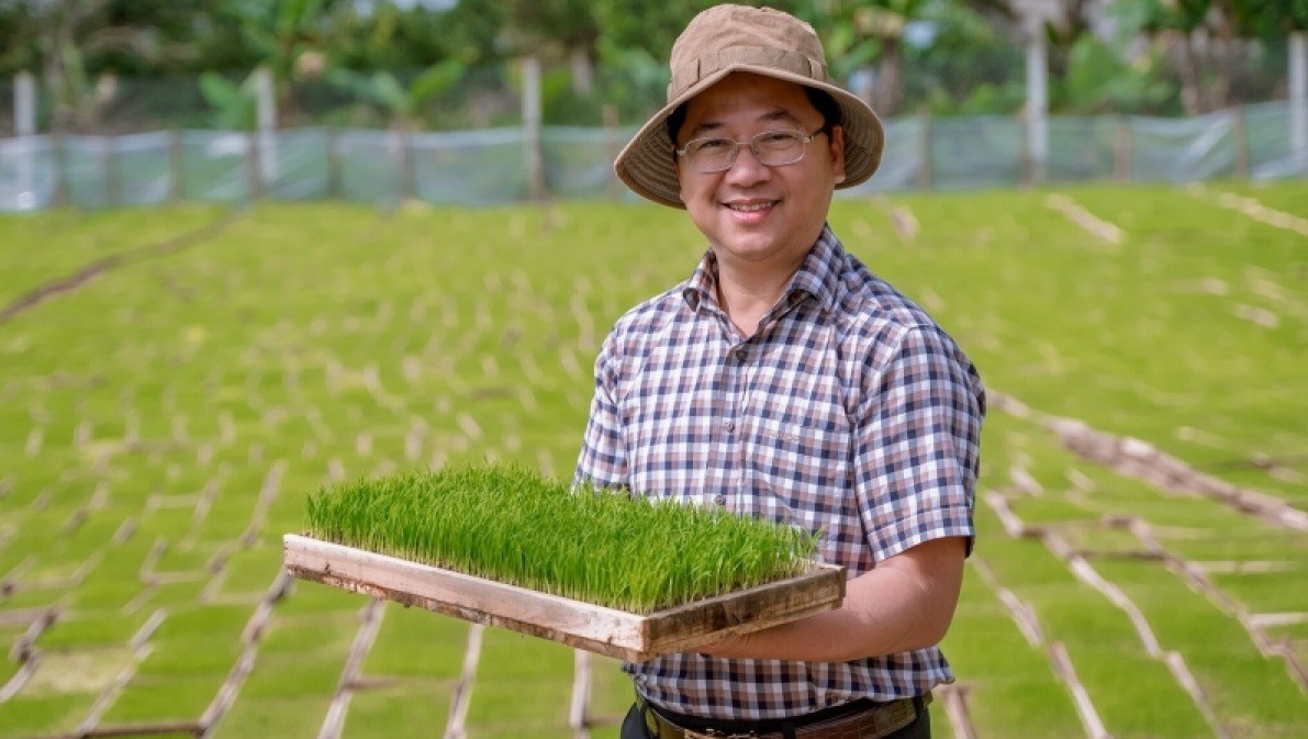 Lúa hữu cơ Quảng Trị lần đầu 'đặt chân' đến châu Âu Lúa hữu cơ Quảng Trị lần đầu 'đặt chân' đến châu Âu