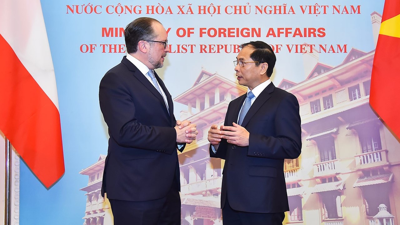 Bộ trưởng Bùi Thanh Sơn đề nghị Áo sớm phê chuẩn EVIPA và thúc đẩy EC gỡ bỏ thẻ vàng IUU